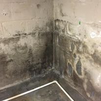 Westland Mold Inspection LLC business image in Westland, MI